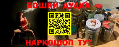 индика Рузаевка