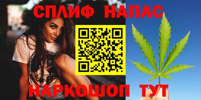 индика Рузаевка