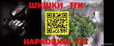 индика Рузаевка