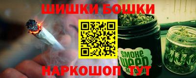 индика Рузаевка