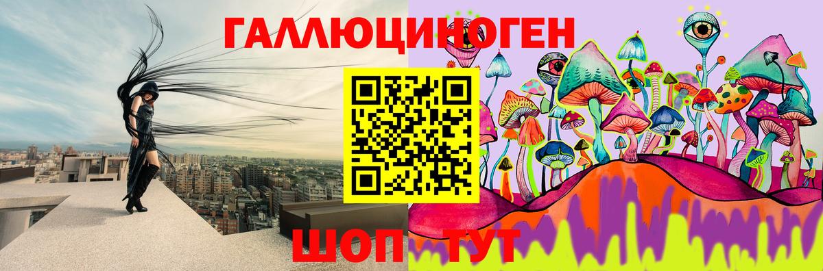 Нижнекамск  Галлюциногенные грибы Psilocybe  Вход с VPN 