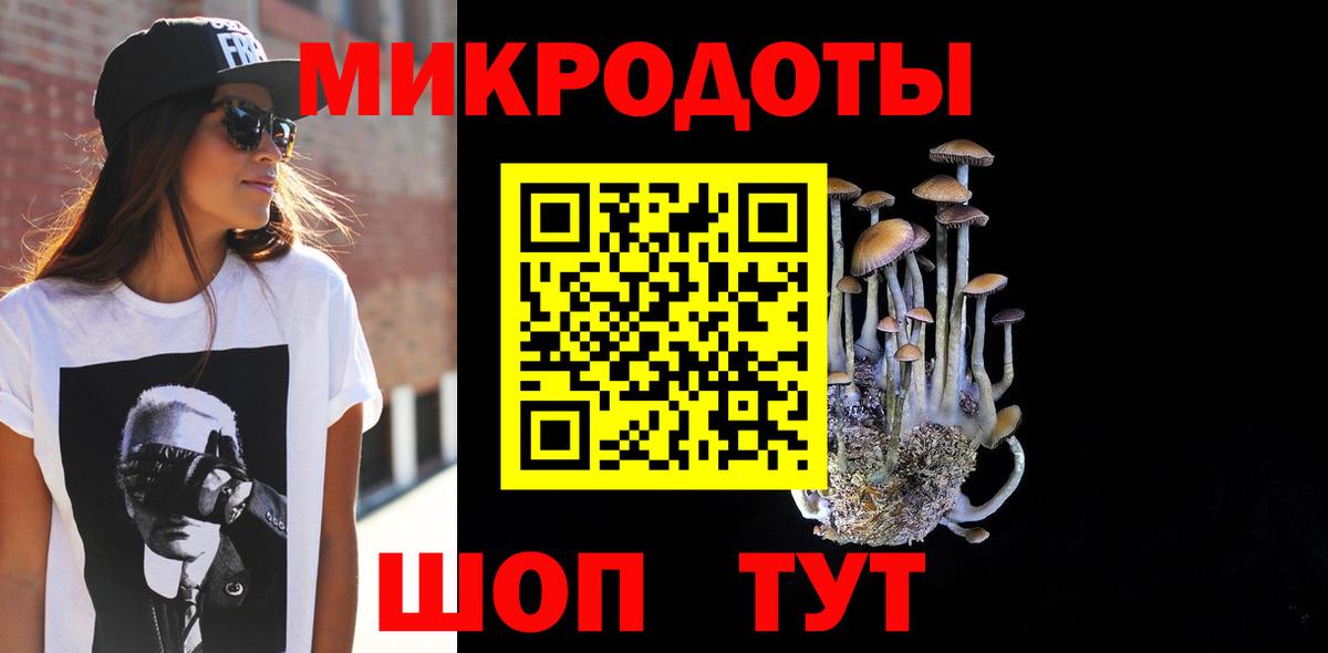Псилоцибиновые грибы Psilocybe Нижнекамск